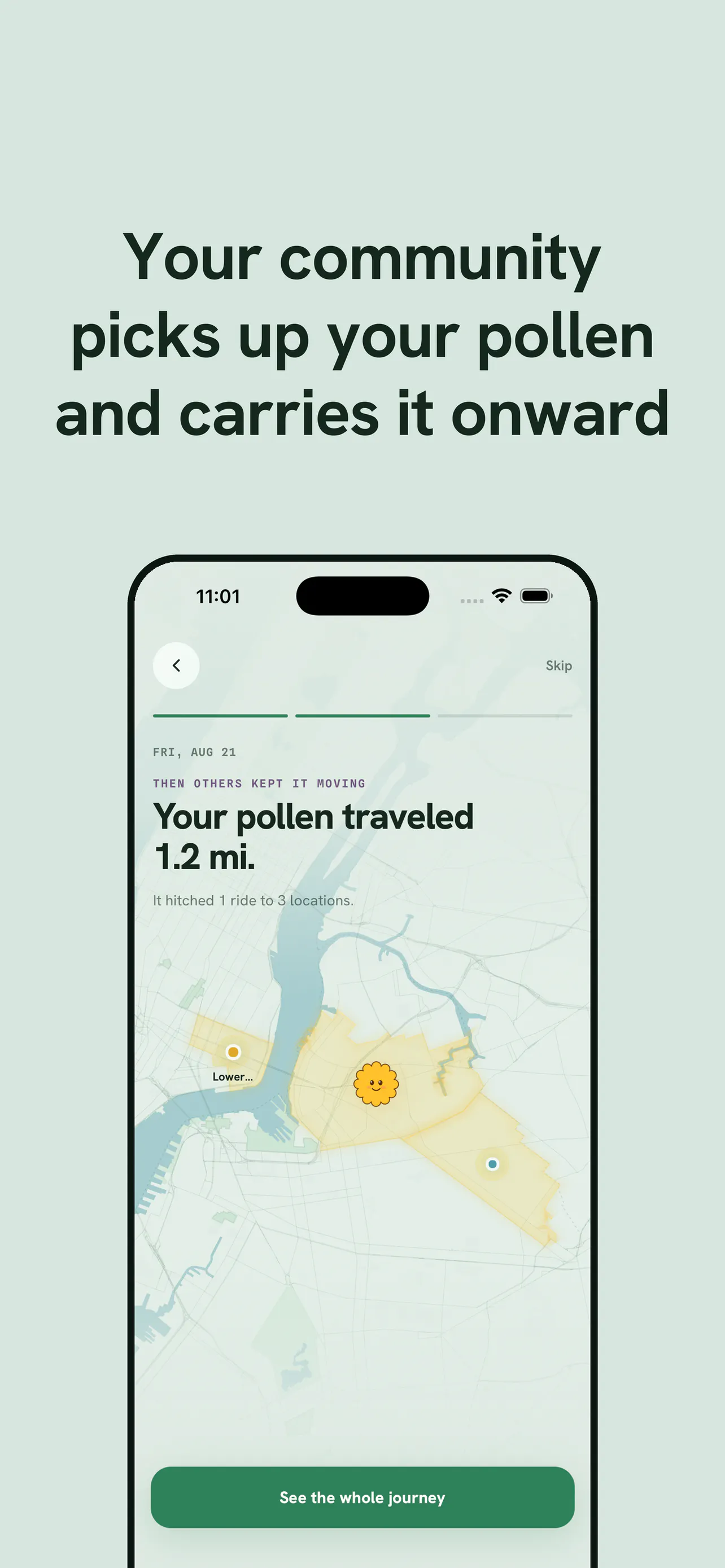 Pollen gallery image