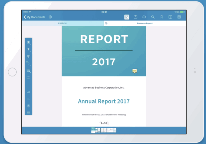 PDF Viewer Image