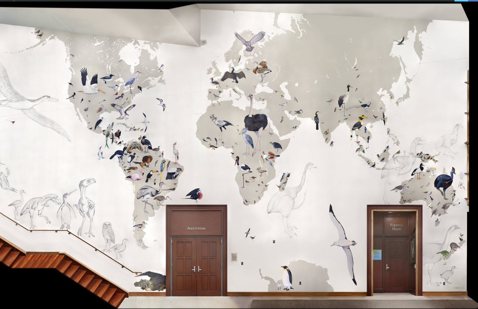 Merlin Bird ID App gallery image