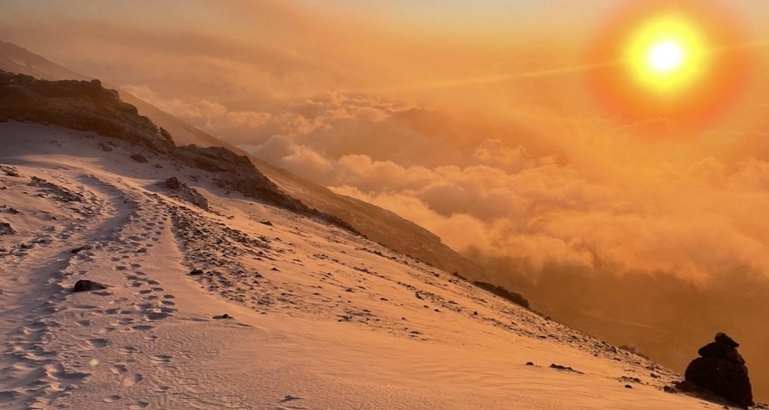 Africantrust Safari media 19