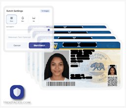 HideFaces gallery image