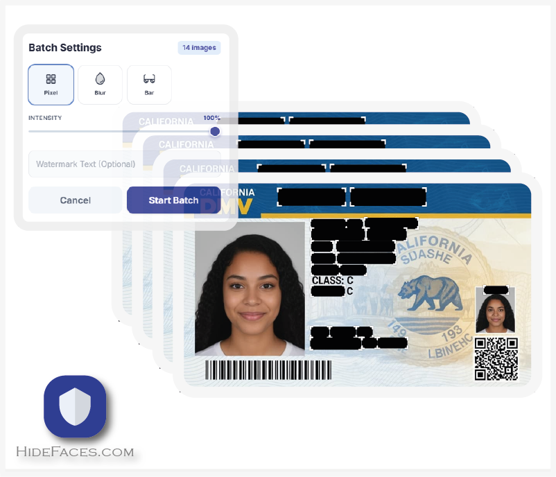 HideFaces - Screenshot 2 showing product features and functionality