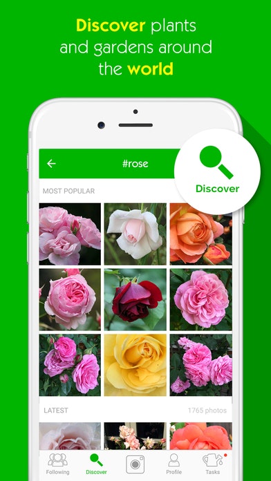 Garden Tags - Plants & gardens gallery image