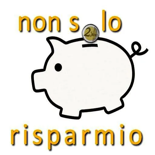 NonSoloRisparmio.it gallery image
