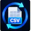 Bank CSV Normalizer