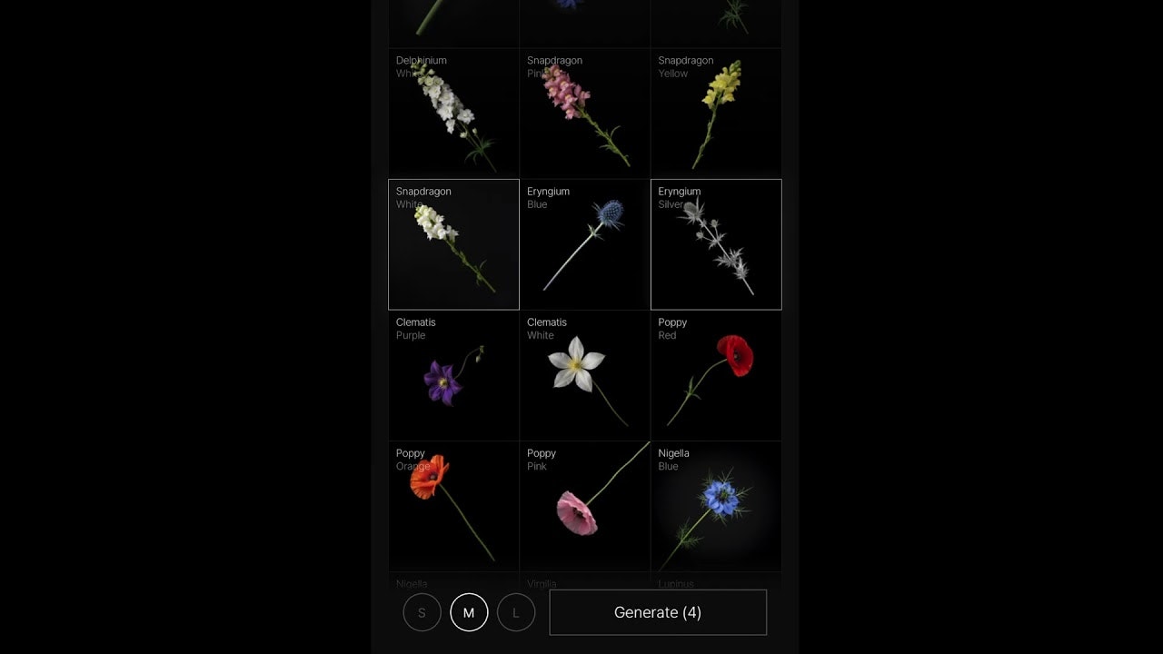 Petal Studio gallery image