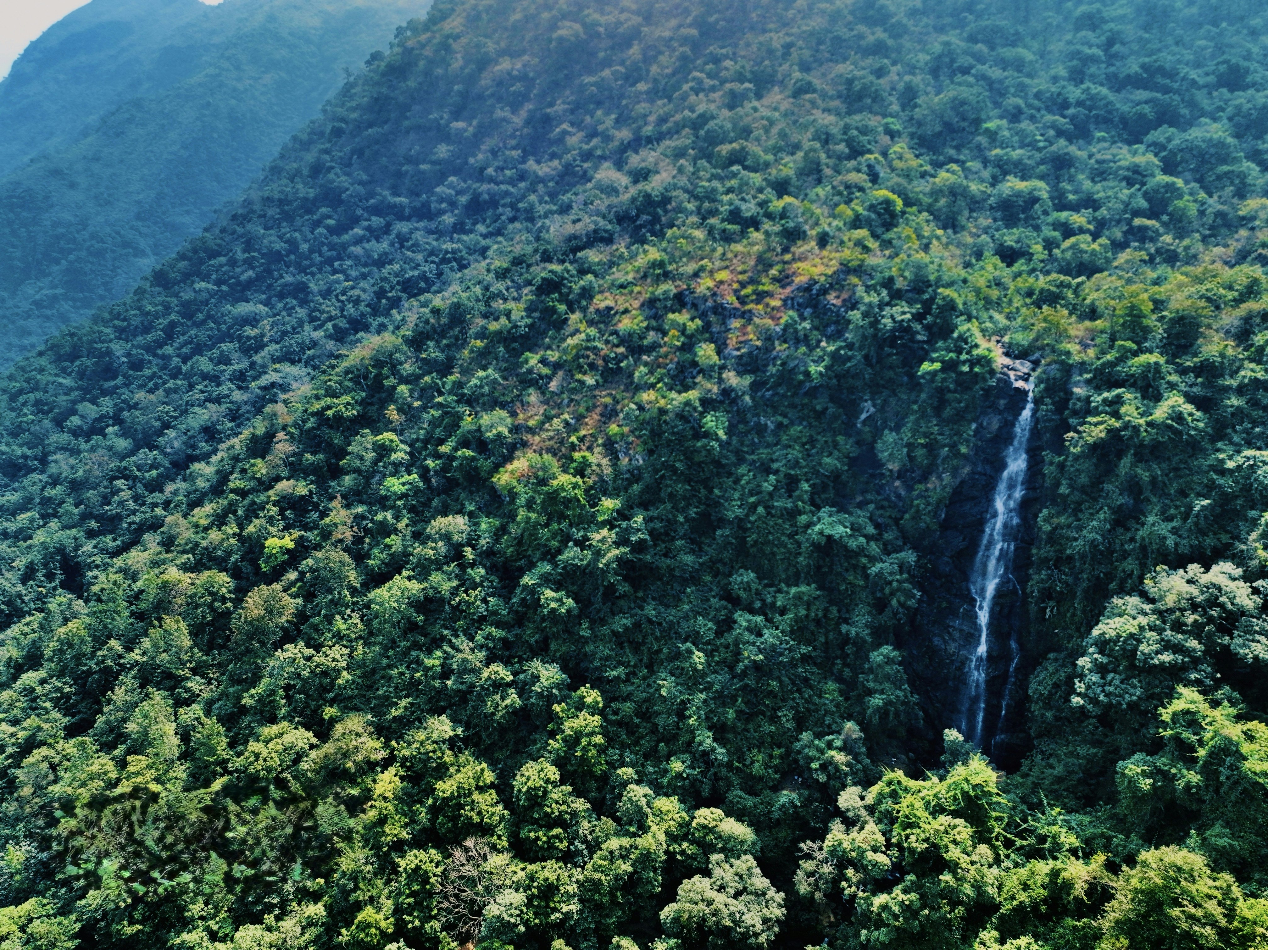ArakuTrip gallery image