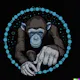 Linkchimp