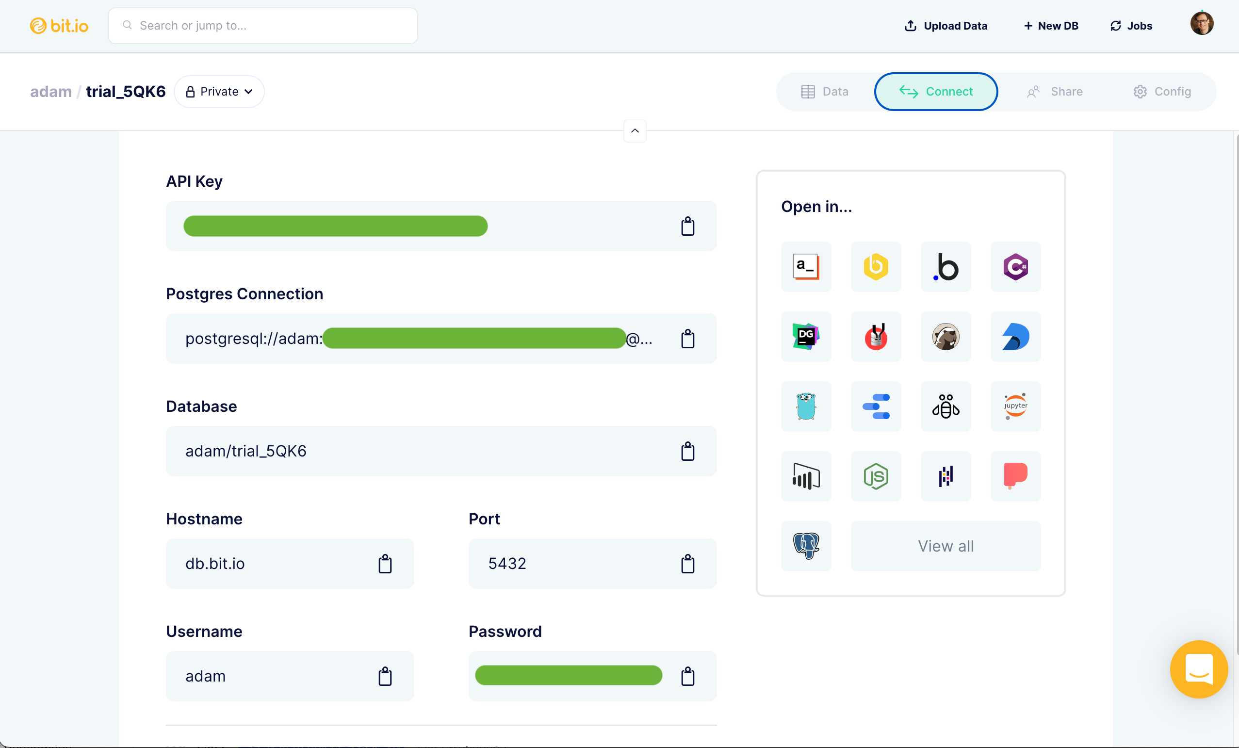 bit.io serverless postgres gallery image