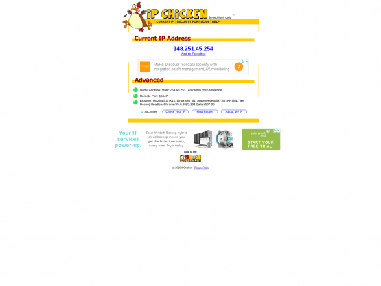 IP Chicken gallery image