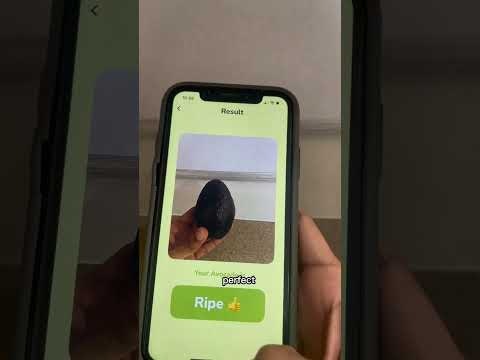 RipeOrNot AI - For Avocados gallery image