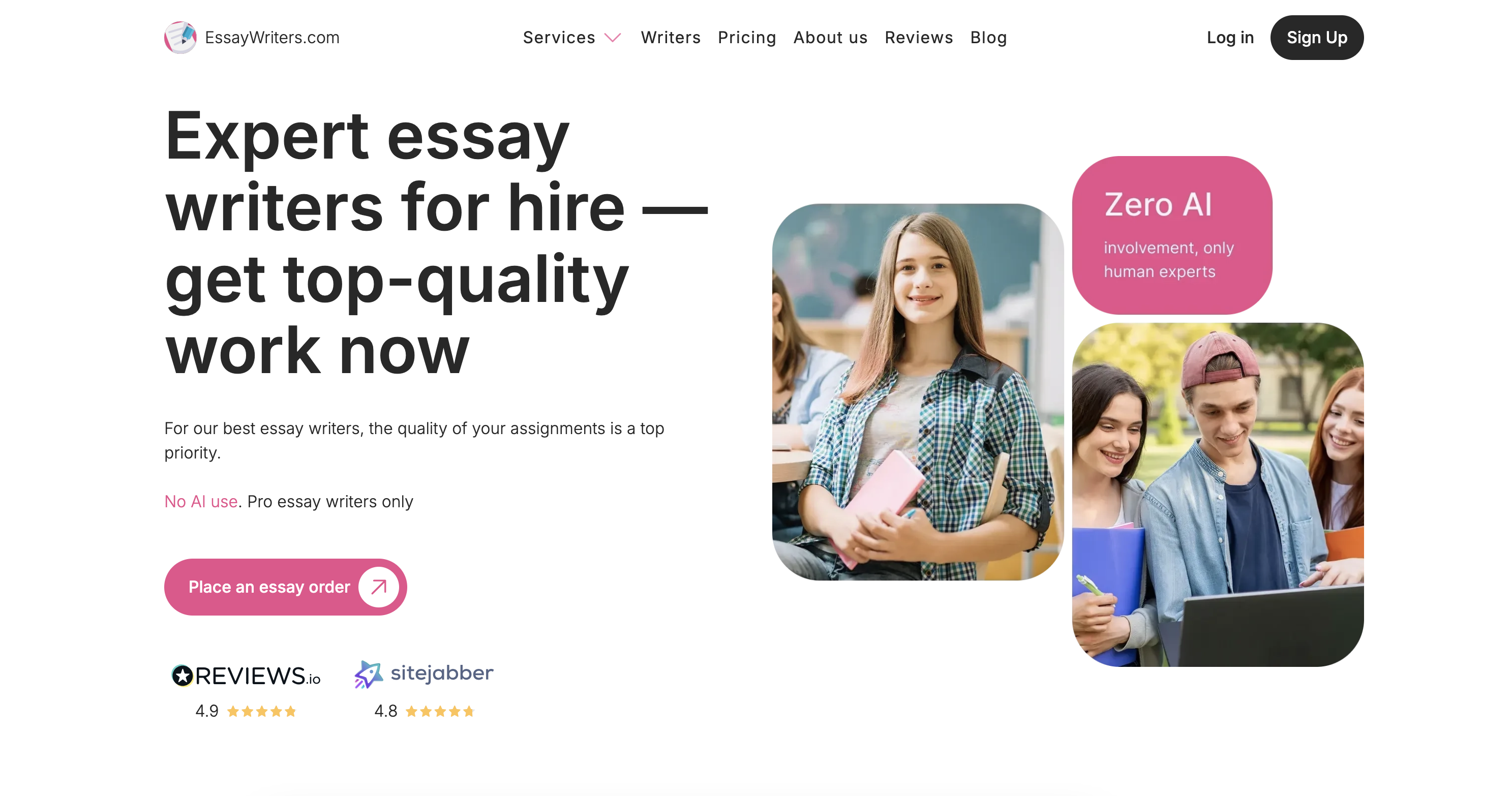 EssayWriters.com media 1