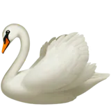 Euismod