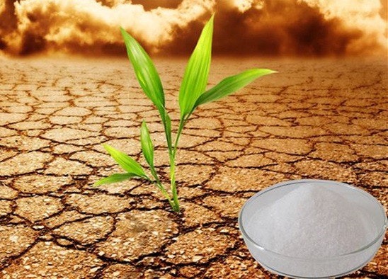 Super absorbent polymer for agriculture  gallery image