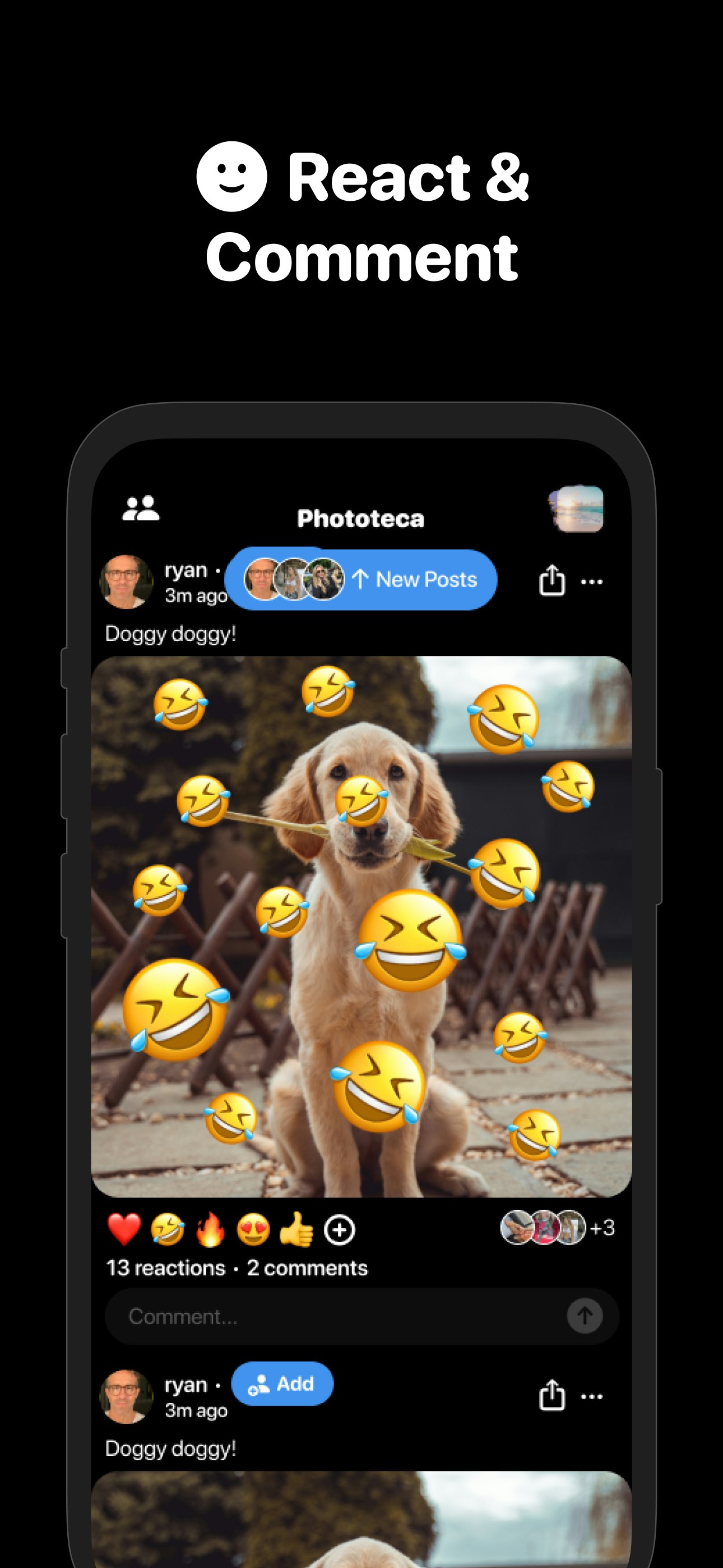 Phototeca media 5