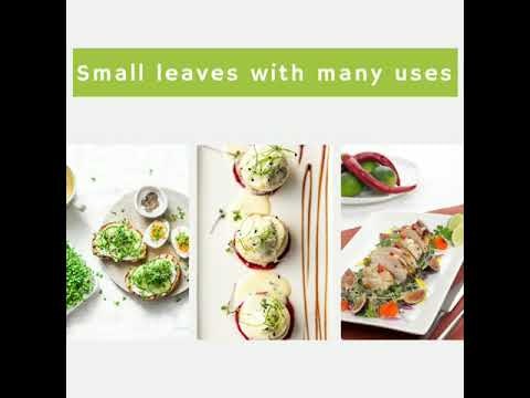 Ecofrindly, fresh, and tasty superfood  gallery image