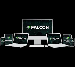 Falcon gallery image