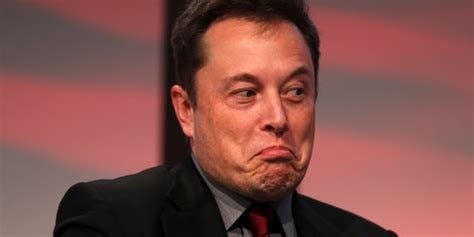 Elon Musk Quotes media 1