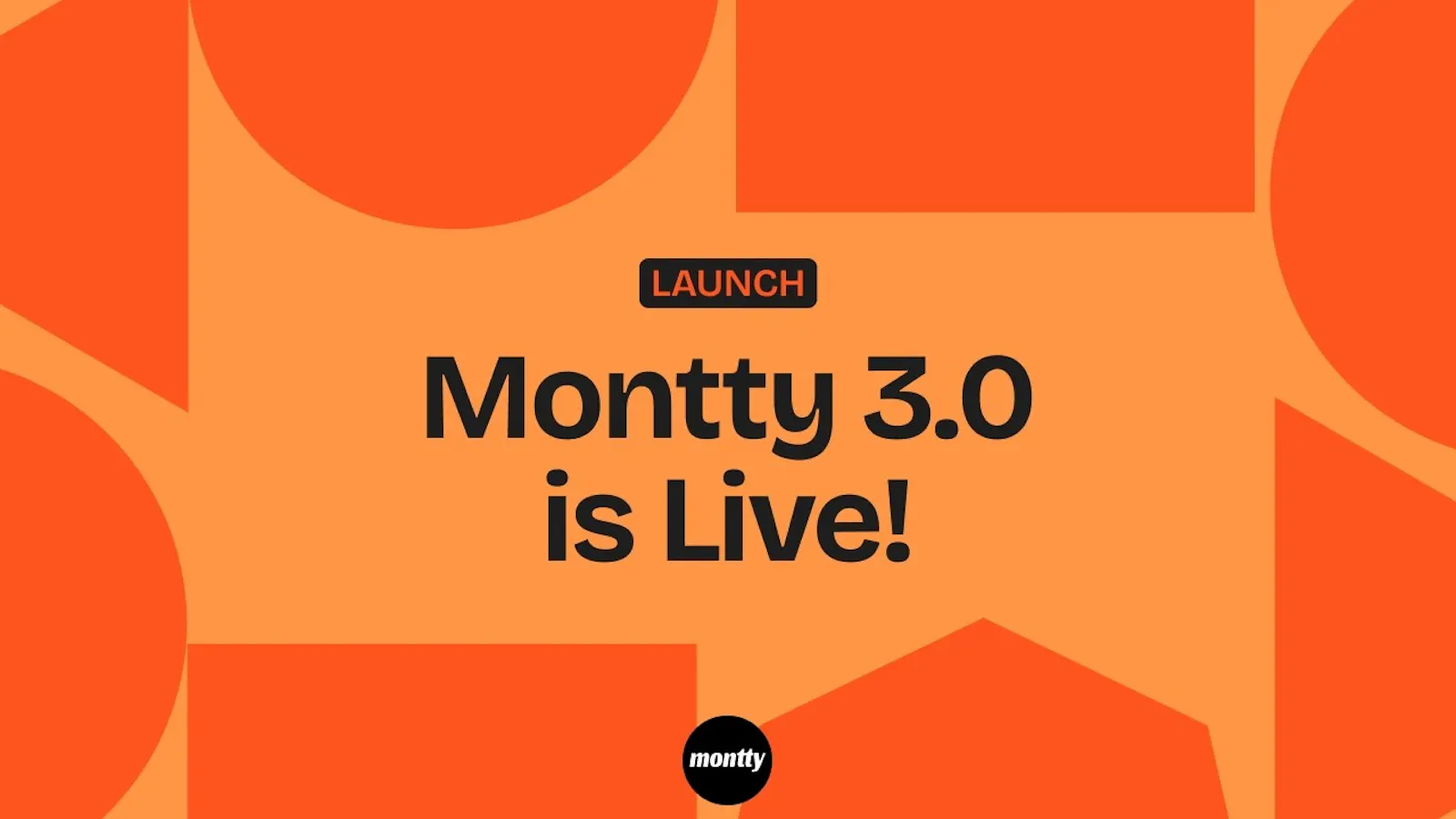 Montty screenshot 1 (video preview)