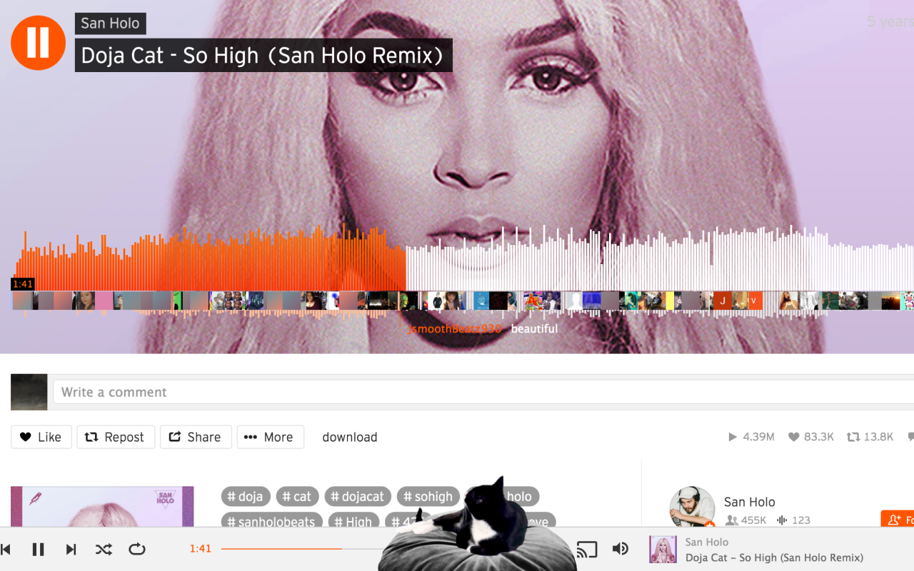 Chrome Cat gallery image