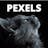 Pexels Cats