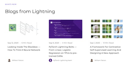 PyTorch Lightning gallery image