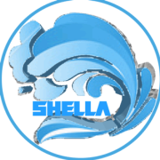 BeZoes Sneaker Cleaner