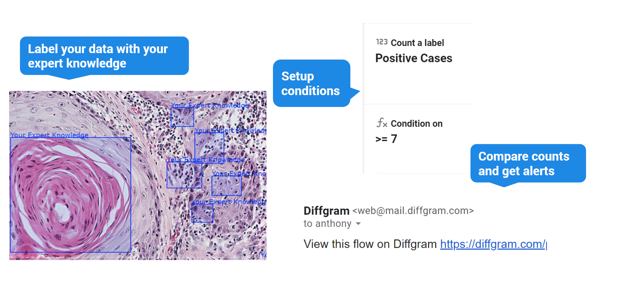 Diffgram gallery image