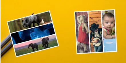 Pixobe gallery image