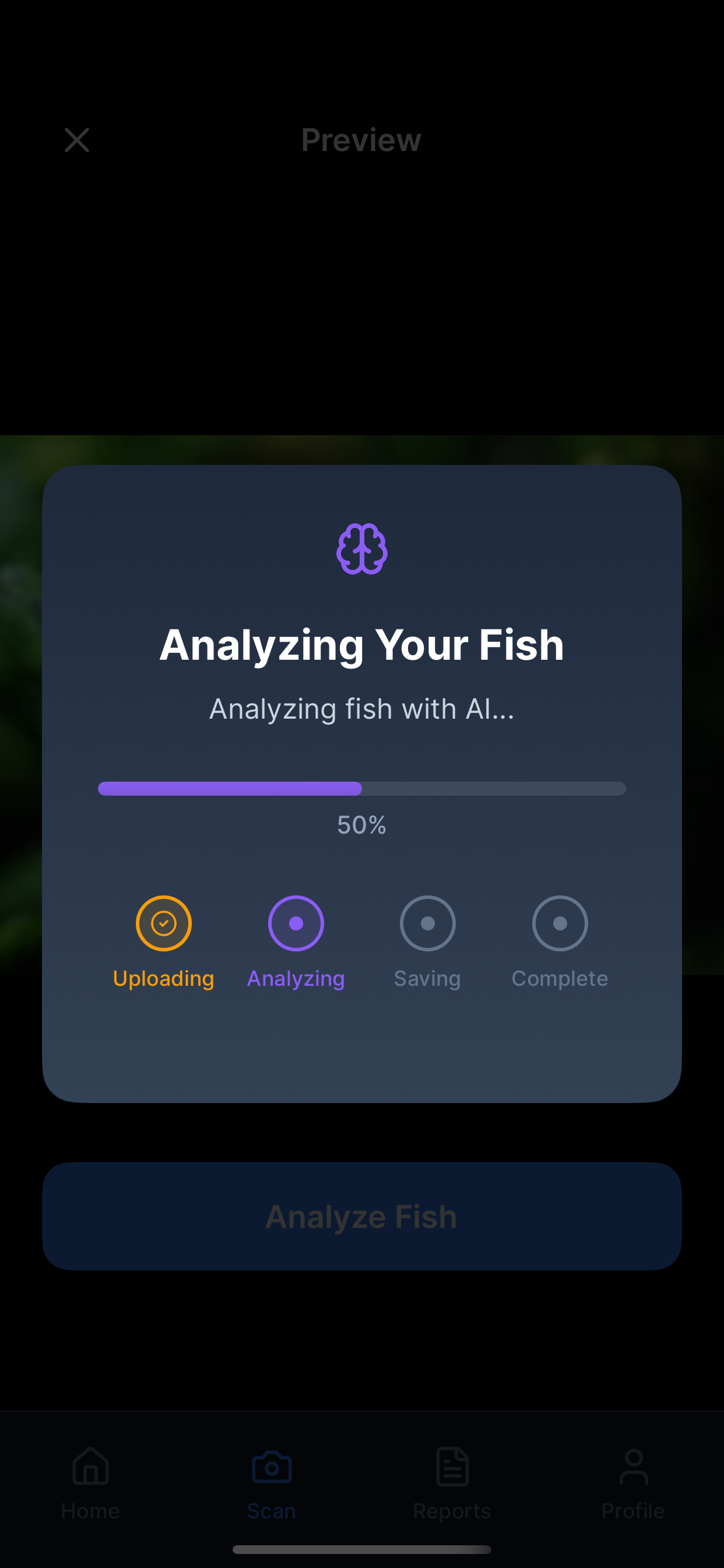 FishBuddyAI gallery image