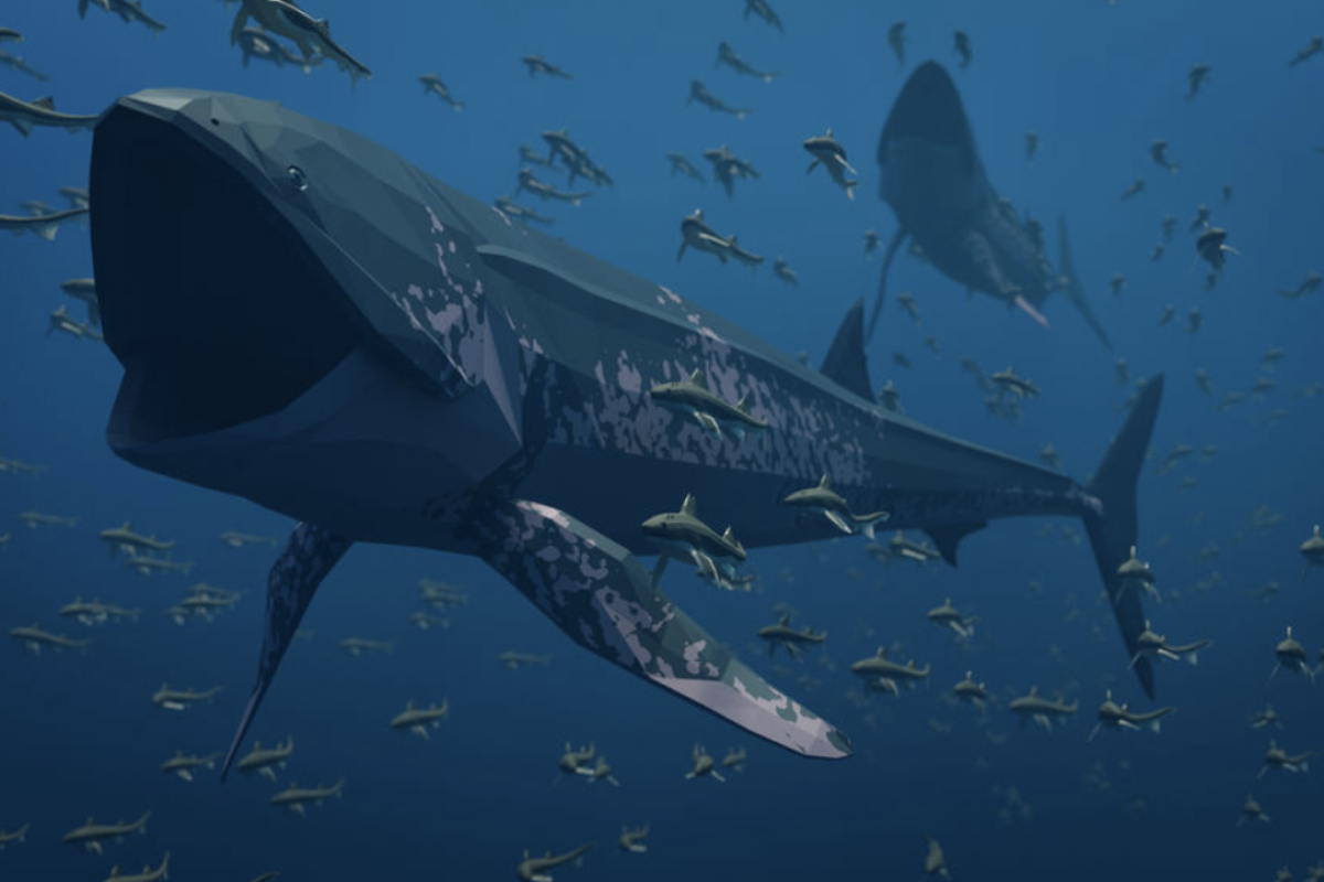 Explorer Books gallery image