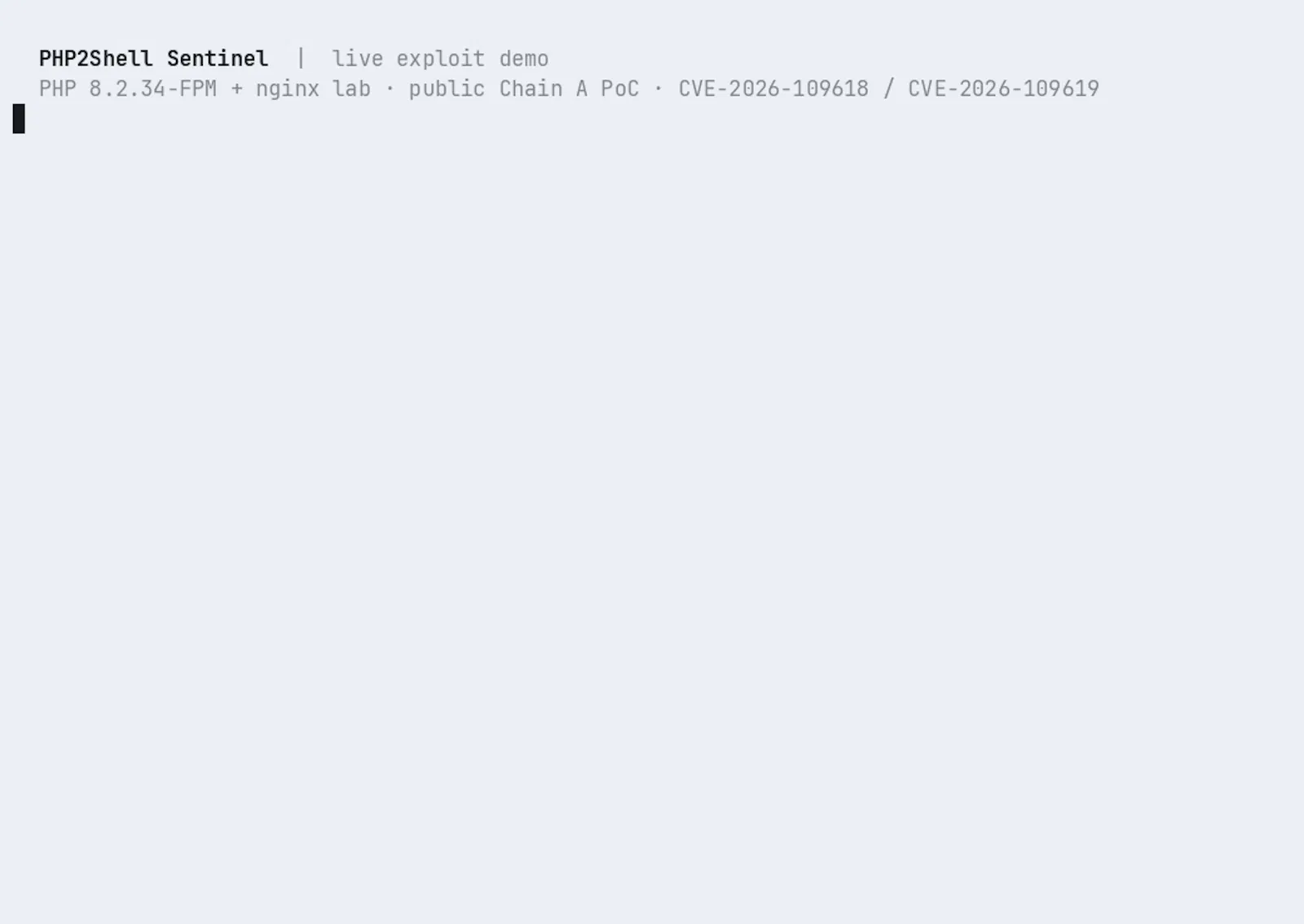 PHP2Shell Sentinel screenshot 2