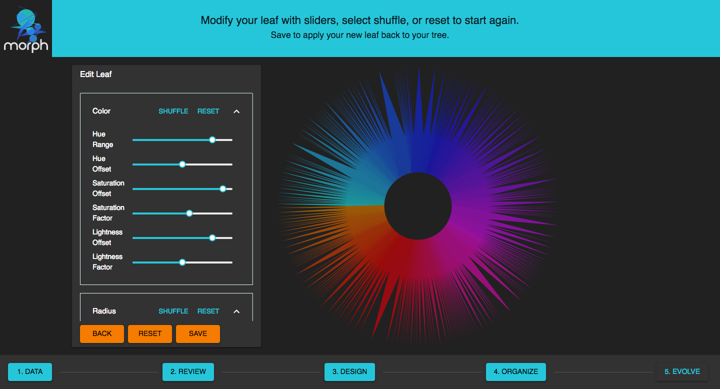 Morph gallery image