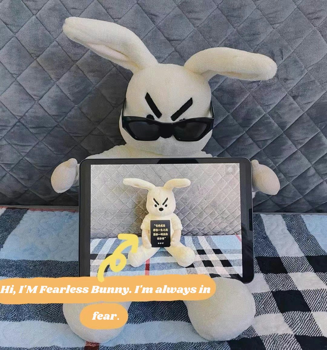 Animale peluche |Bunny senza paura