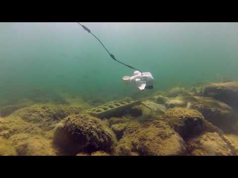 Fathom One gallery image