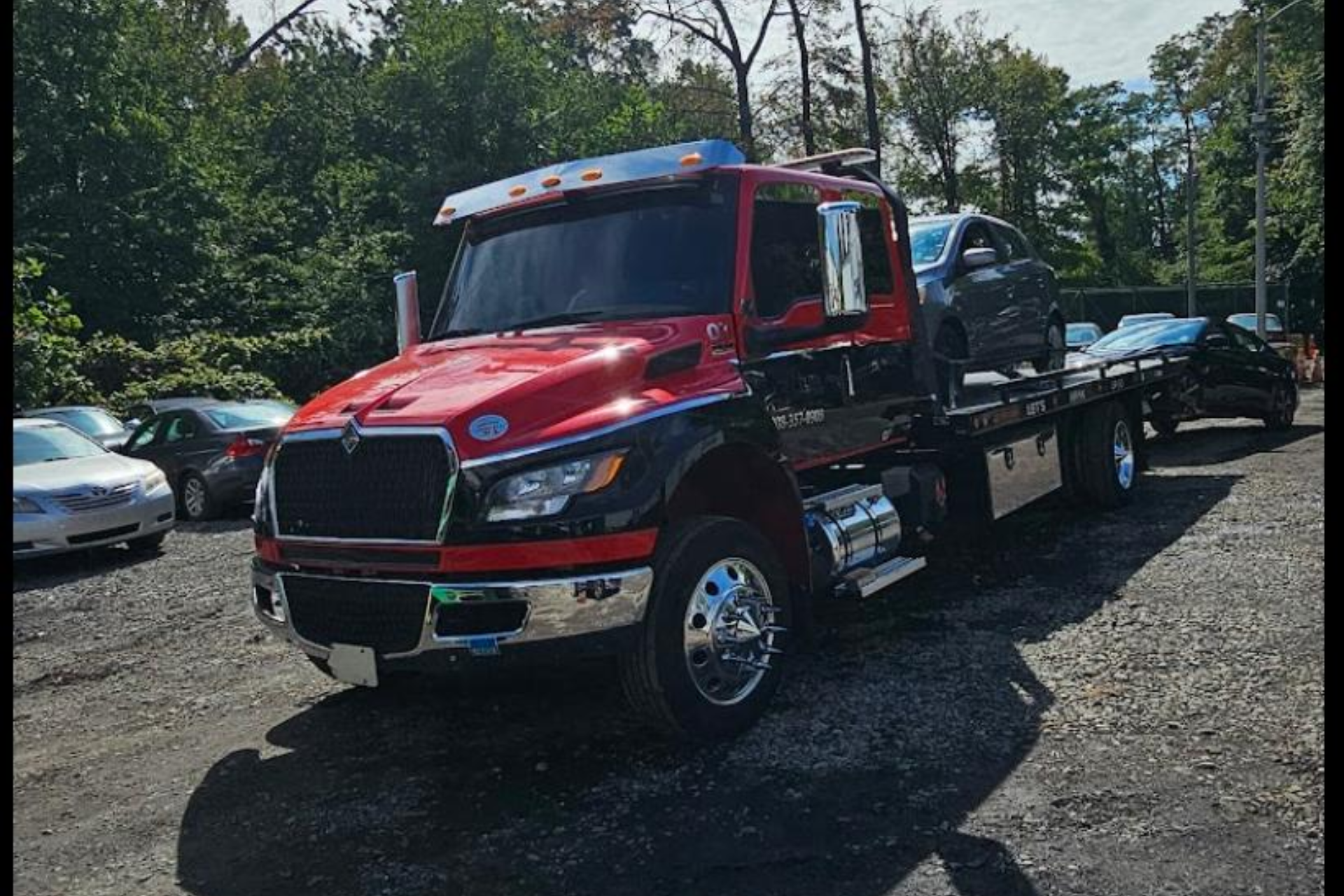 polinatransporterllc - Main product screenshot demonstrating key features and user interface