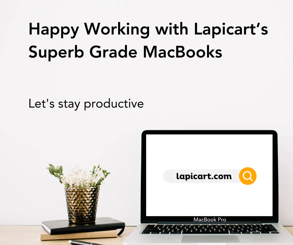 Lapicart gallery image