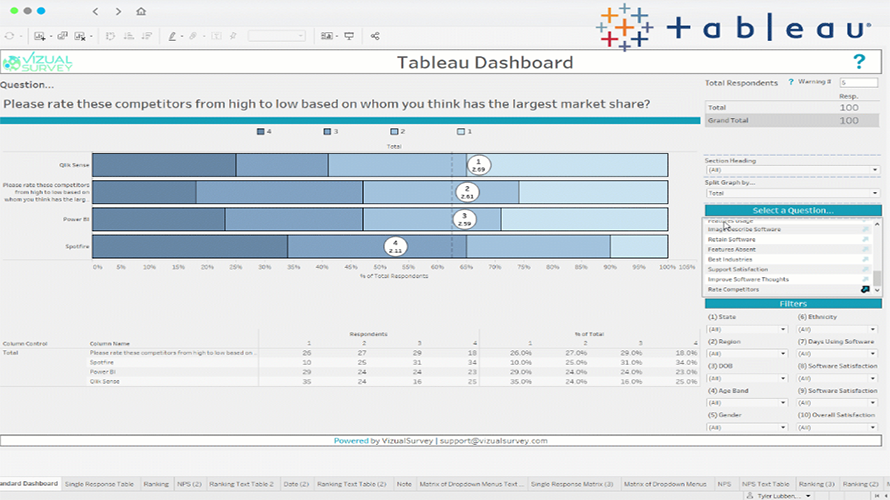 VizualSurvey gallery image