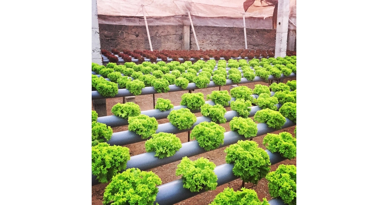 Automated Hydroponics using Arduino Mega gallery image