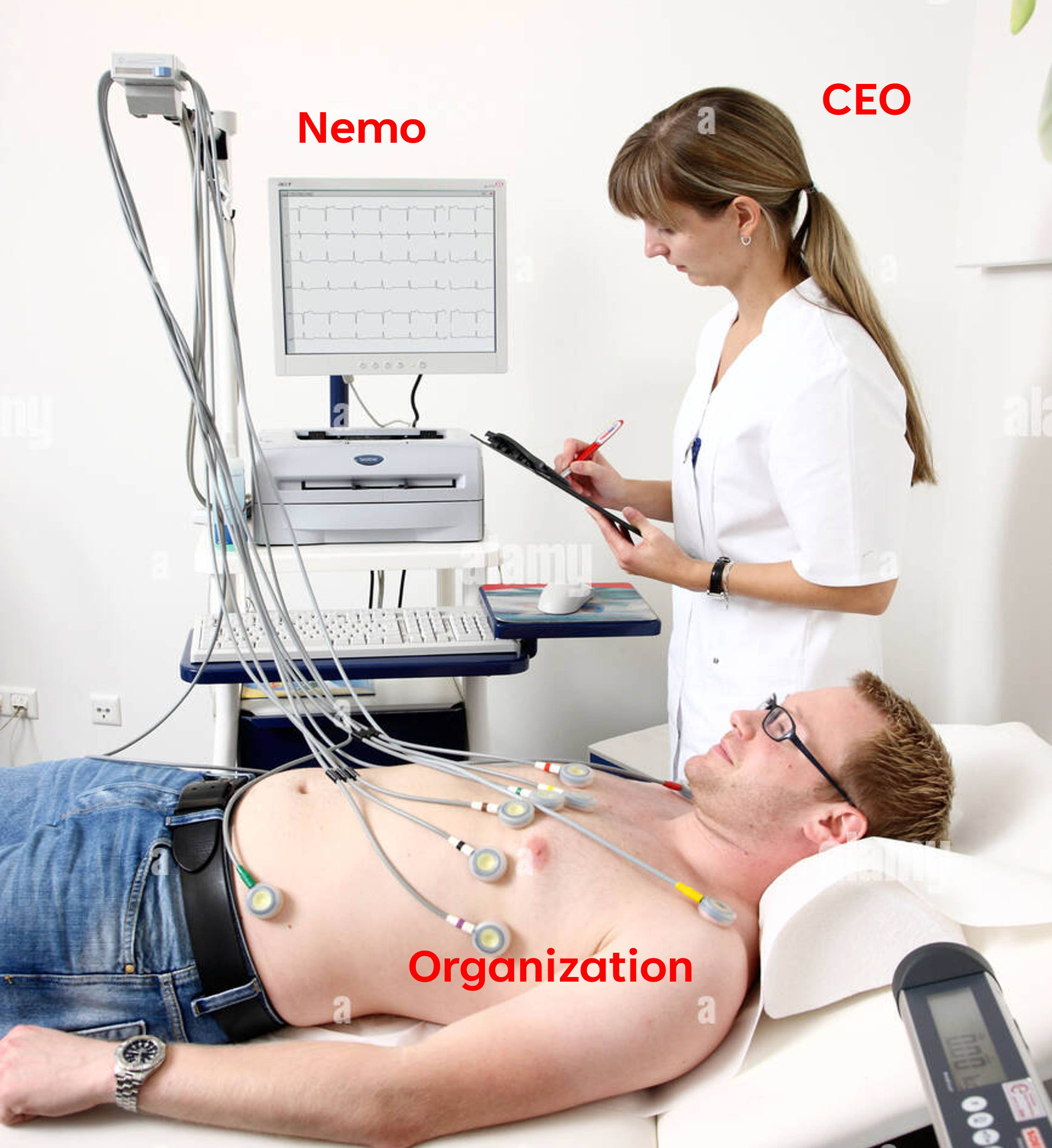 Nemo - Finanzgesundheits -Tracker Medien 1