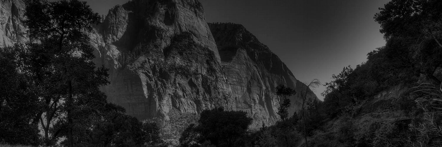 Vincent Battaglia cover