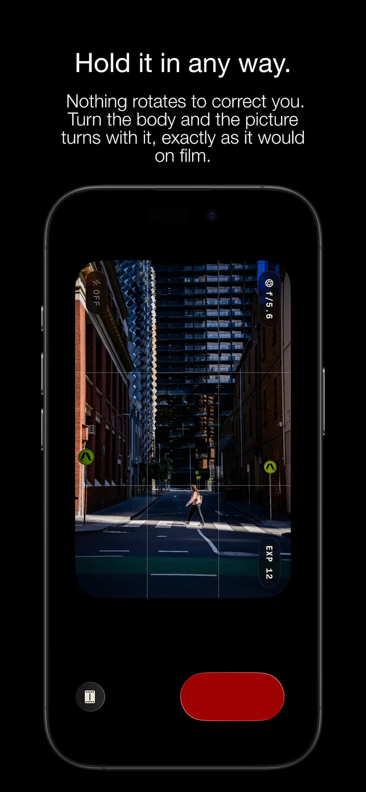 Lupo gallery image