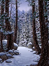 Living Worlds - Mark Ferrari gallery image