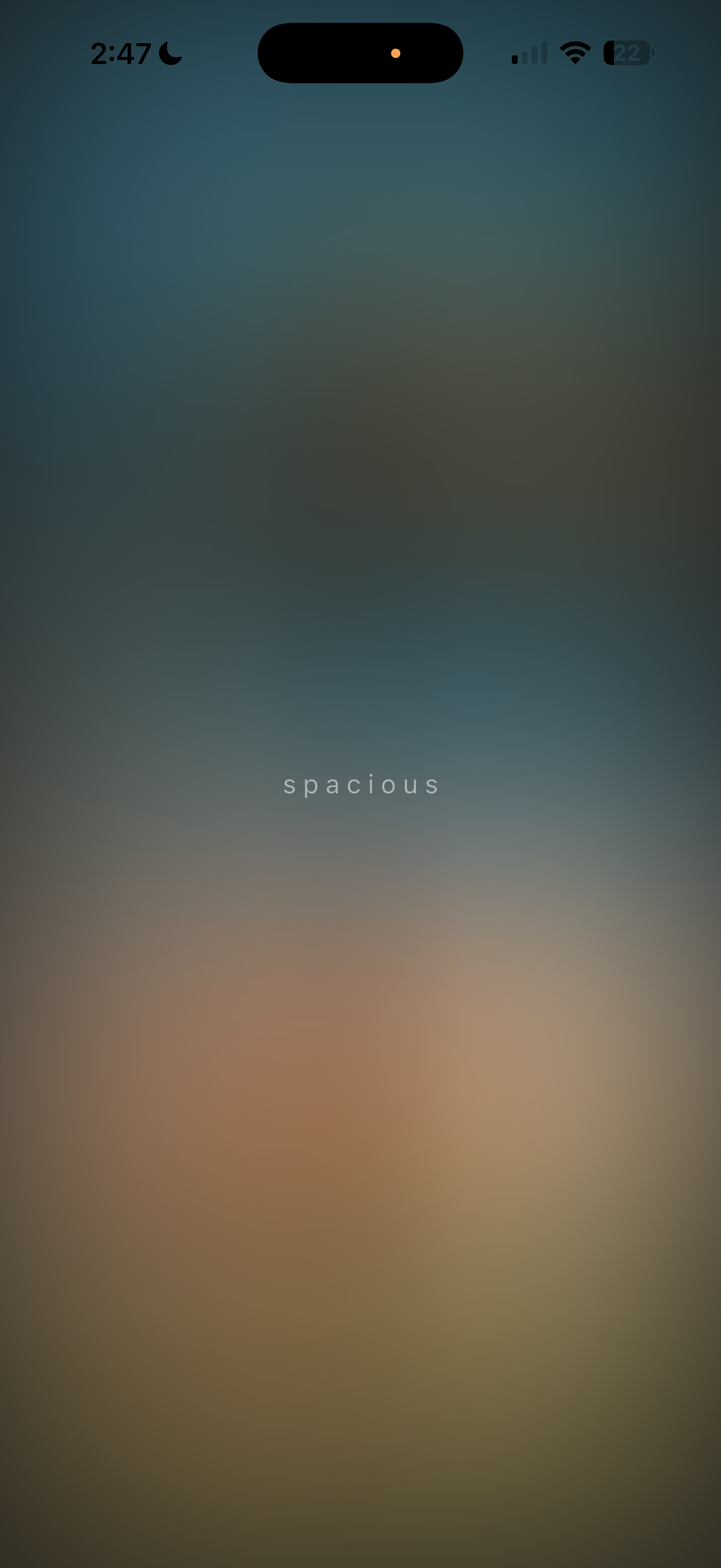Spacious gallery image