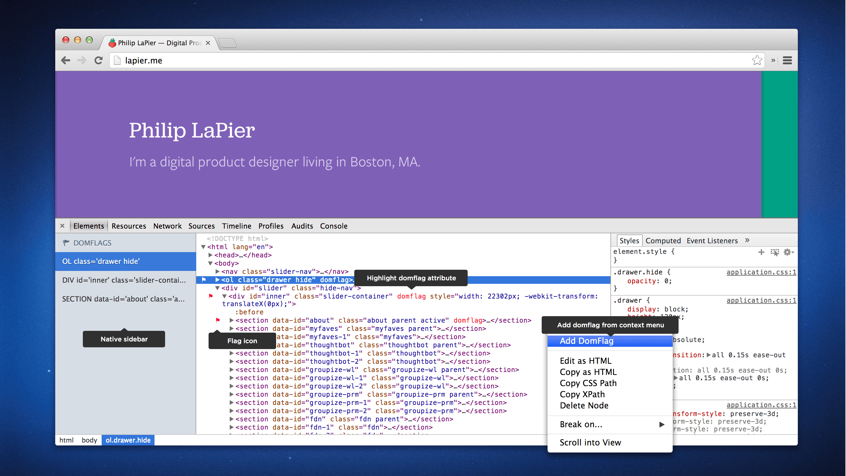 DomFlags gallery image