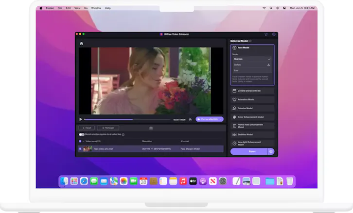 HitPaw VikPea for Mac gallery image