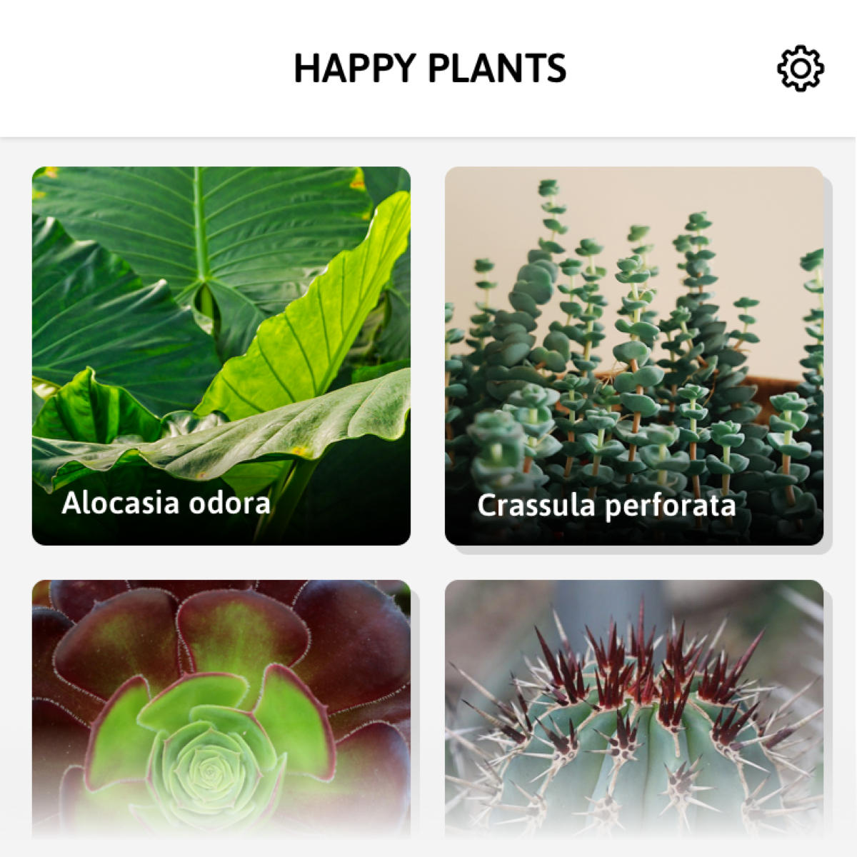 HappyPlants Image