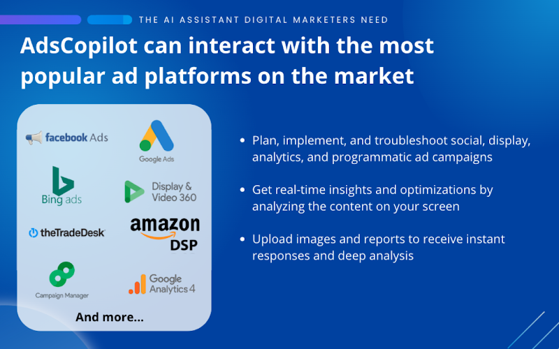 Ads Copilot media 3
