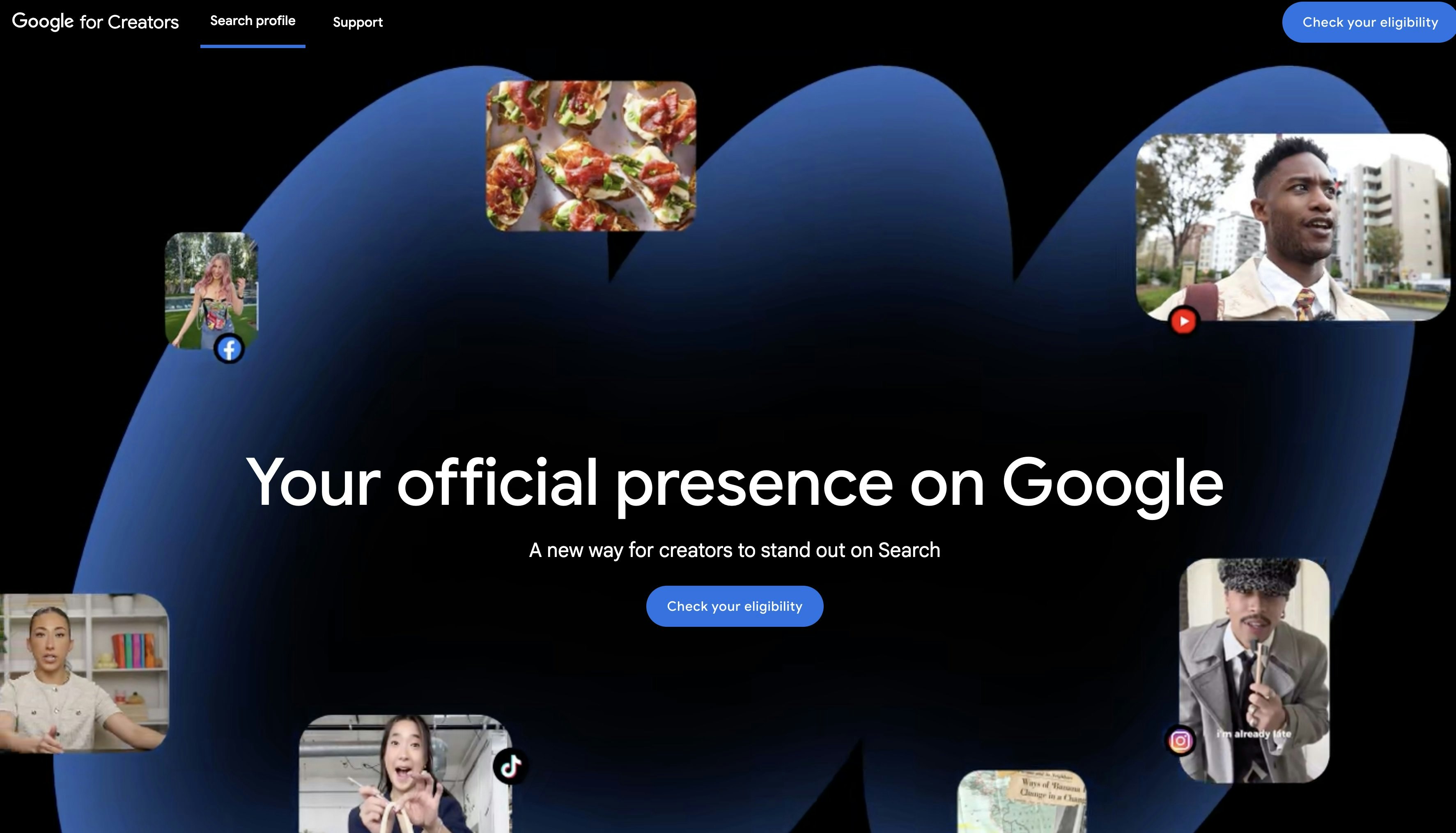 Google Search Profiles gallery image